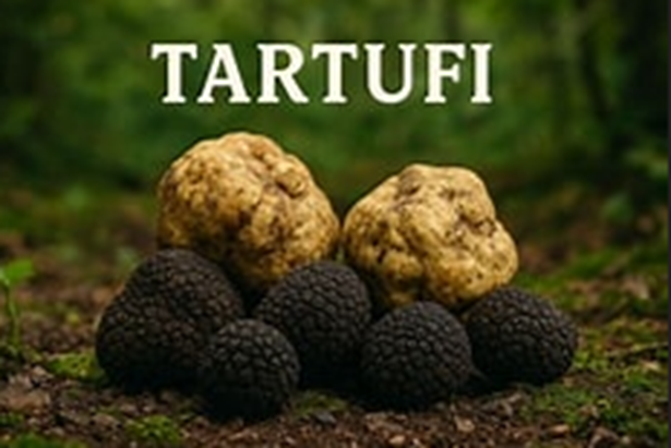 Pagamento tassa regionale TARTUFO
